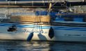 Motor Segelboot mit Motorschaden trieb gegen Alte Liebe bei Koeln Rodenkirchen P163